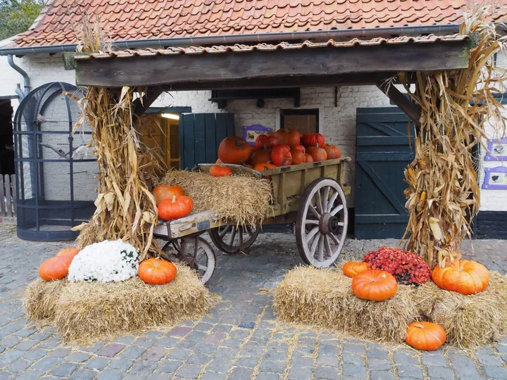 Halloween in Plopsaland (De Panne, Belgium)